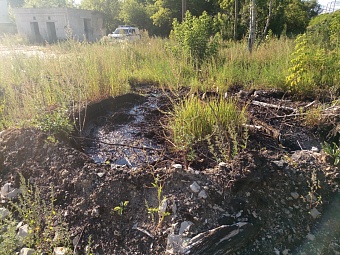 Принудительным исполнением решения суда завершилось дело о взыскании с ОАО "РЖД" ущерба почве